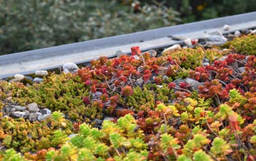 the cost of Crinow green roof installation
