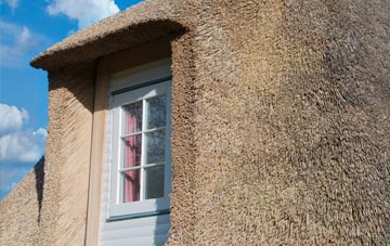 Crinow thatch roof disadvantages